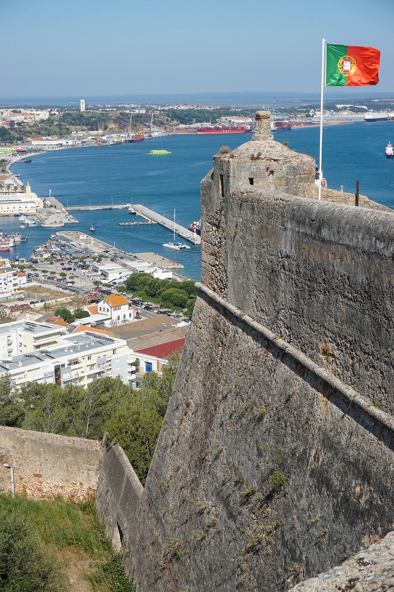 Arrábida vegetation