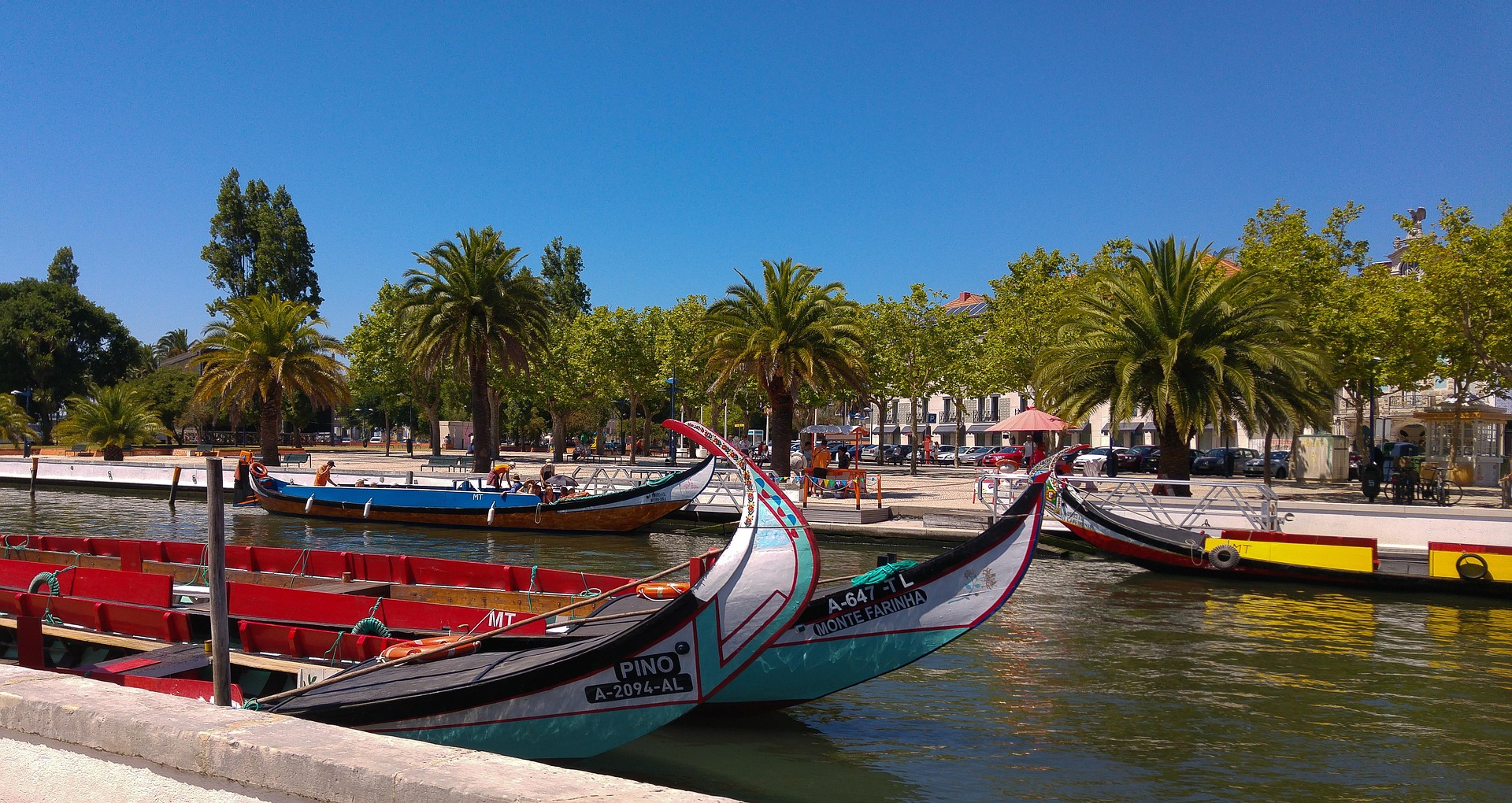 Colorful moliceiro boats gliding through the serene canals of Aveiro, the Venice of Portugal