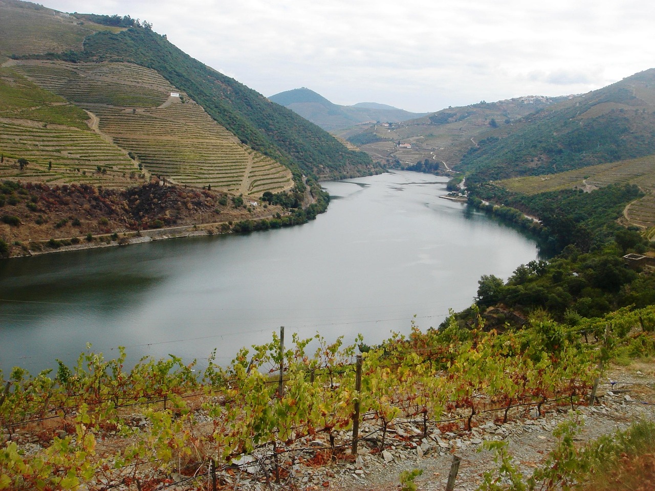 Douro Golden River